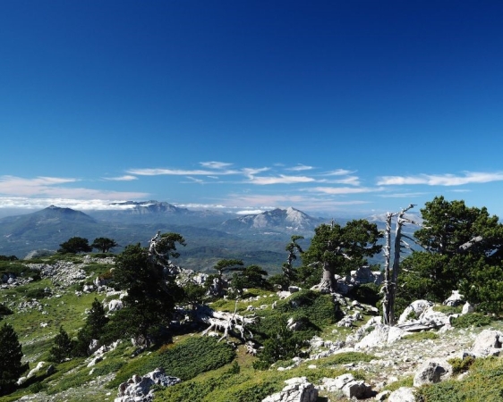 Hidden Secrets of Basilicata: Southern Italy 